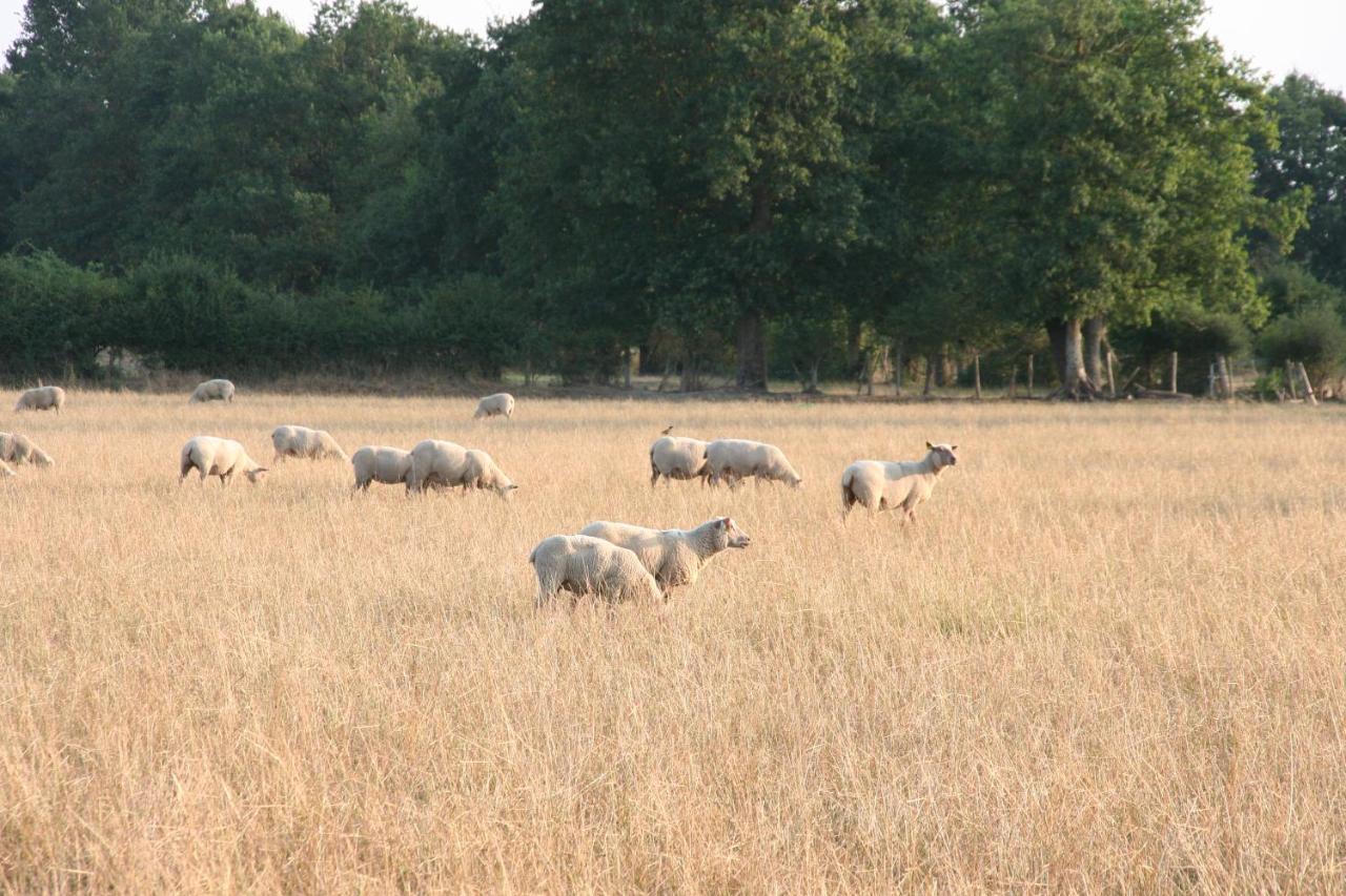 ホテル Le Domaine De La Barre Saint Michel Gourgé エクステリア 写真